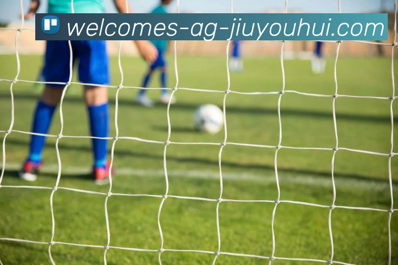 AG九游会官网发展历程